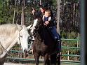 065-Pony Ride